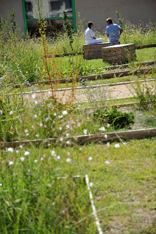 Hôpital Sainte-Marguerite - Jardin