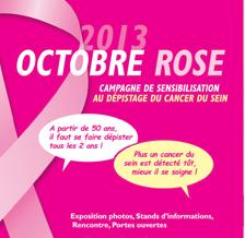 Illustration Octobre Rose 2013