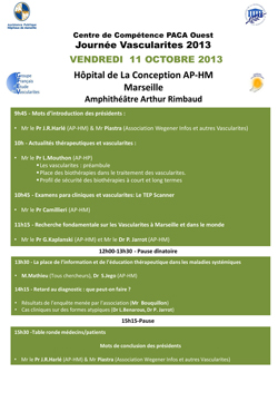 Affiche Journée Vascularités 2013