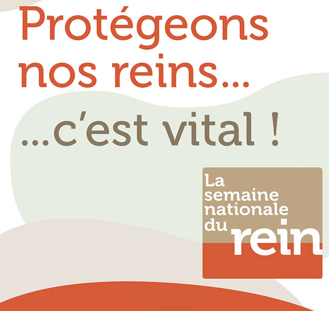 Illustration de la 21e édition de la Semaine Nationale du Rein de France Rein