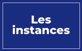 Les instances