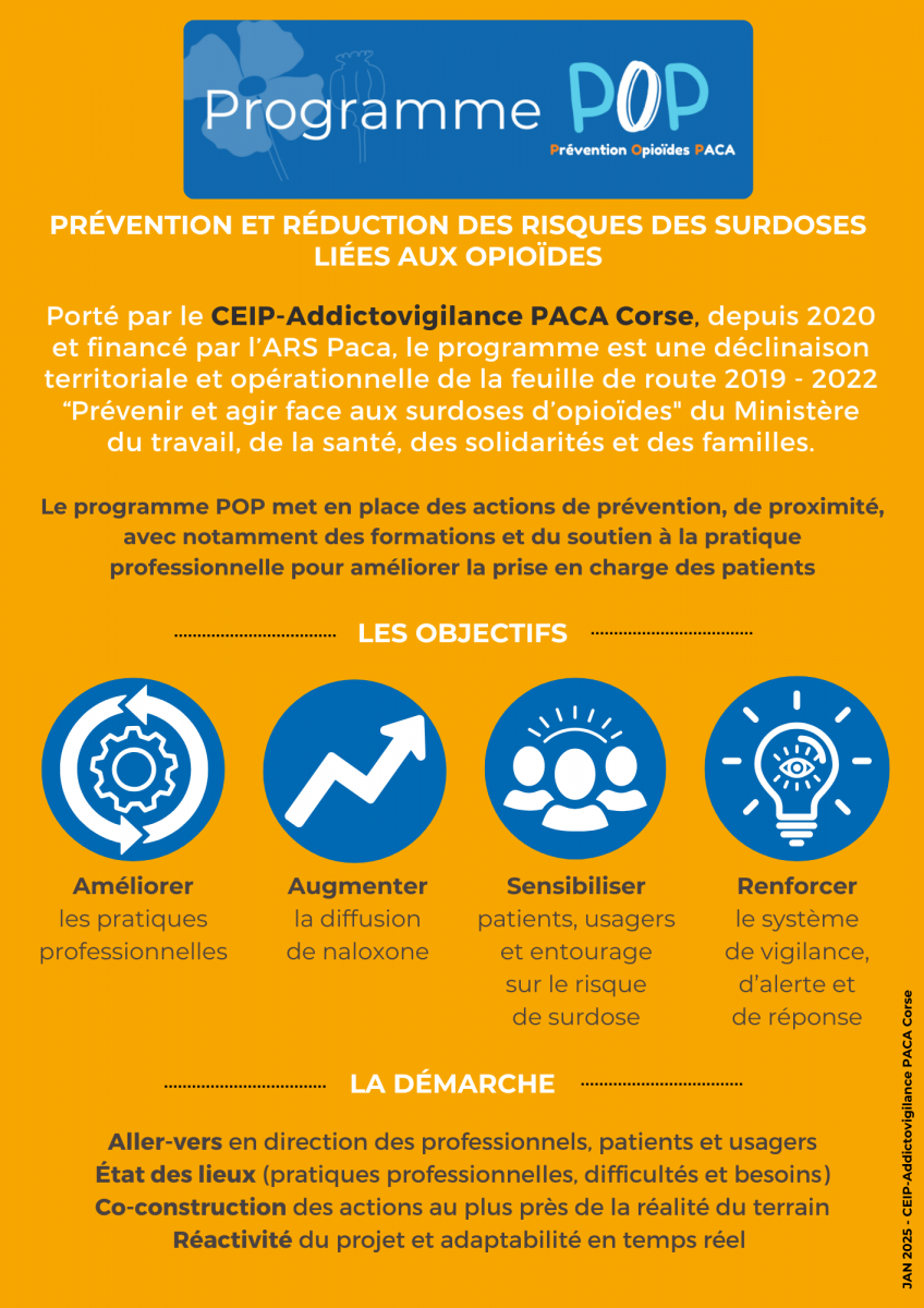 Flyer le programme pop