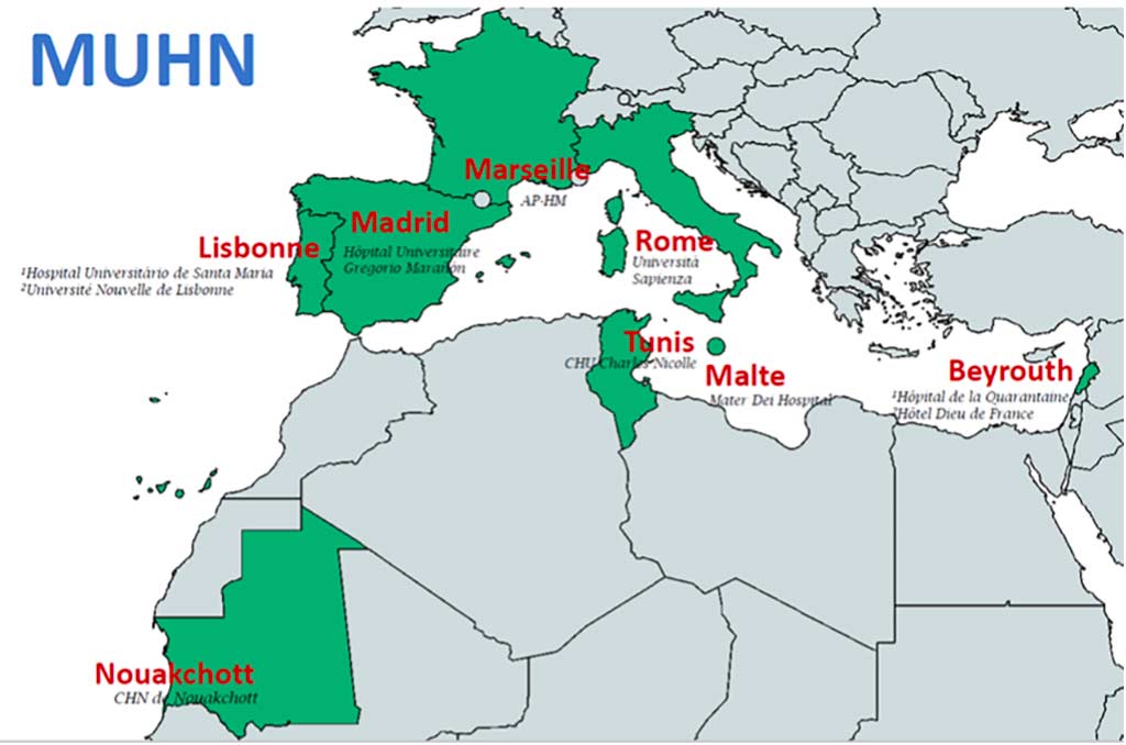 carte pays partenaires Mediterranean University Hospitals Network
