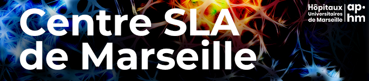 paste here img alt banner