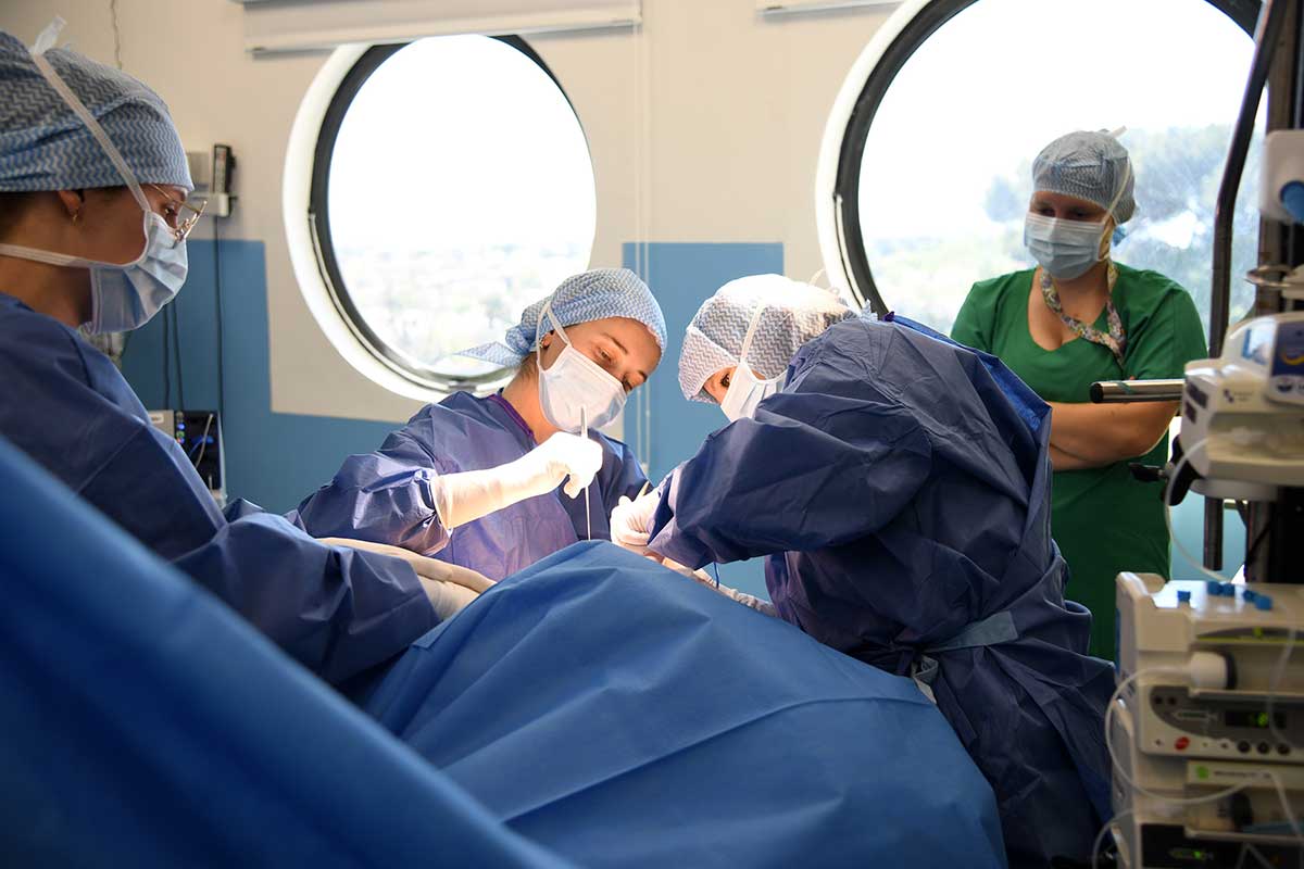Salle de chirurgie gynécologique moderne à l’AP-HM, spécialisée dans les cancers, l’endométriose et la chirurgie ambulatoire