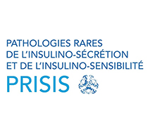 Logo du Centre de Compétence PRISIS