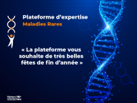 internet-card-actu-plateforme-maladies-rares-fetes3x.png