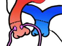 mr_article_figure_14.png
