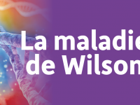 mr_la_maladie_de_wilson-_flyer_081222.png