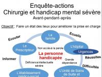 reseau-lucioles-jml-poster-paris-2015-pour-rapport-chir.jpg