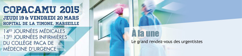 slide_copacamu_2015.jpg
