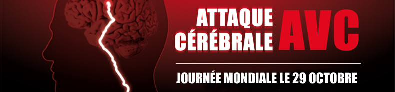 slide_journee_avc_2013.jpg