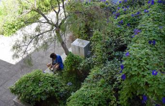 Santé mentale : Seconde édition du DU de Réhabilitation Psychosociale à Marseille