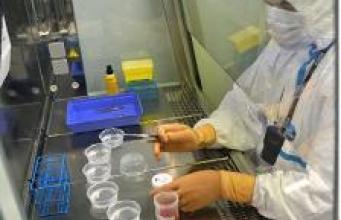 L’AP-HM: leader régional dans l’innovation et la médecine personnalisée en cancérologie
