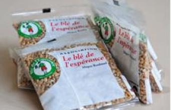 Lancement du Blé de l’espérance