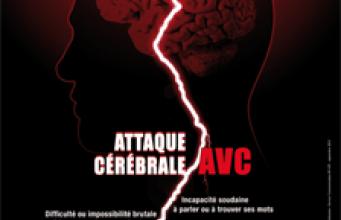 AVC : lancement de la campagne 2013