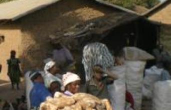 DU Santé humanitaire 2016 : inscriptions ouvertes !