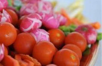 Conférence grand public : « Vers une alimentation durable et préventive »