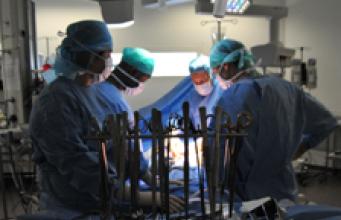 L’OCS, une révolution pour la greffe pulmonaire !