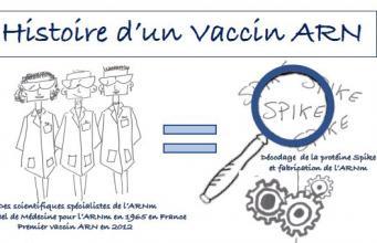 L’incroyable histoire d’un vaccin ARN