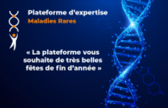 Bonnes Fêtes de fin d'année