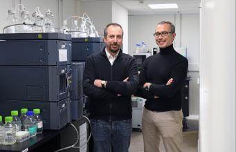 Cancer du poumon et immunothérapie : vers une désescalade thérapeutique