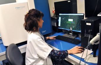 Une technique novatrice pour mieux comprendre et diagnostiquer la Dystrophie Facio-Scapulo-Humérale