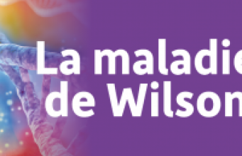 Wilson Tour à Marseille