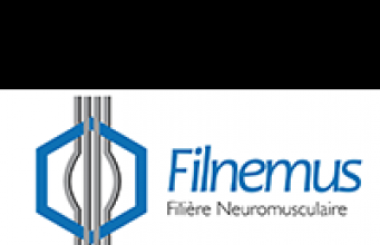 Observatoire diagnostic- FILNEMUS Phase de consolidation #2