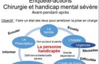Chirurgie et handicap mental sévère (Résultats de l’enquête-actions de Réseau-Lucioles)