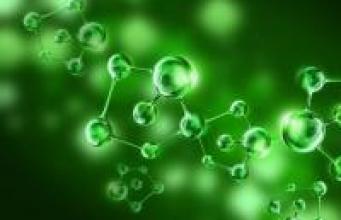 Une toute nouvelle molécule efficace dans le traitement du syndrome de l’X-fragile a reçu l’aval de la Food and Drug Administration (FDA).