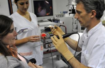 Le nez, un organe d’avenir !